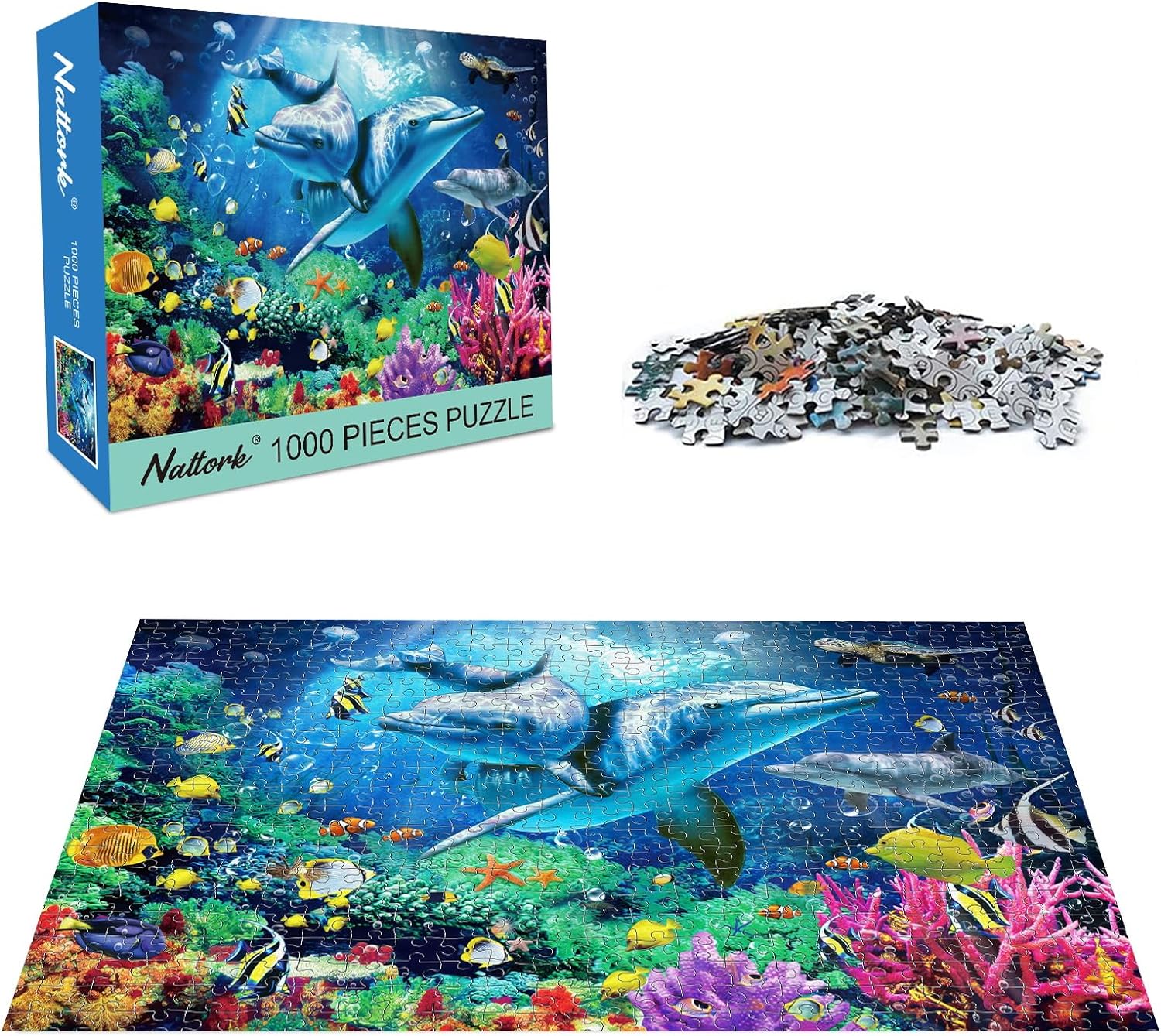 Nattork Sea World J. Murrey Atkins Library